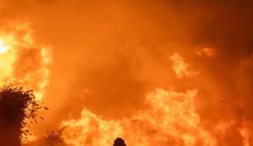 Серьезные лесные пожары охватили Сирию 